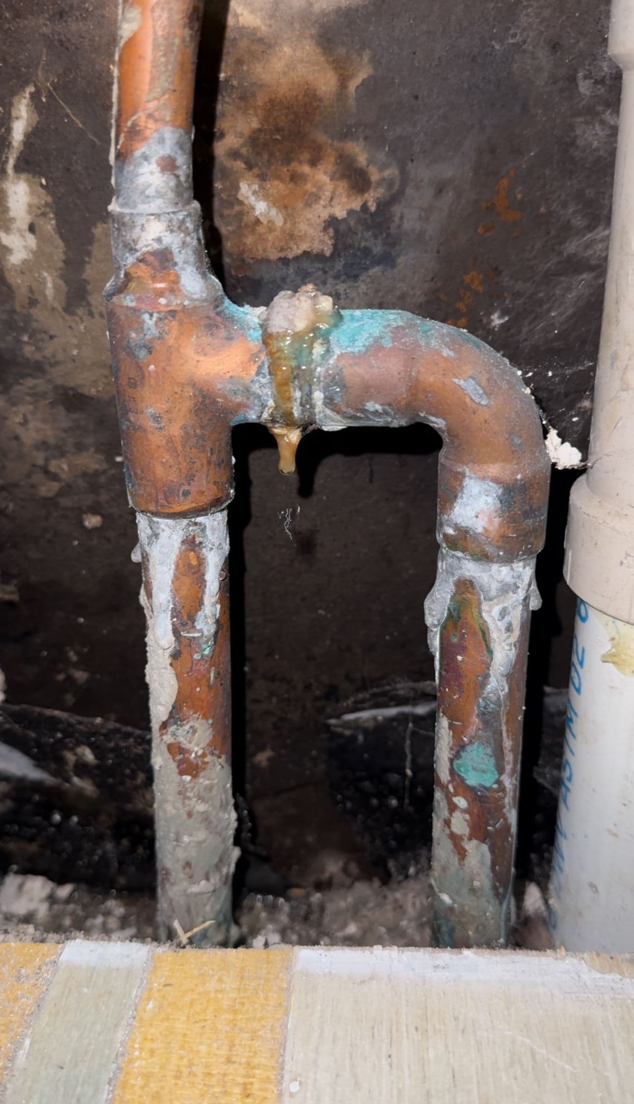 Blog post Signs of a Slab Leak: What Texas Homeowners Need to Know image