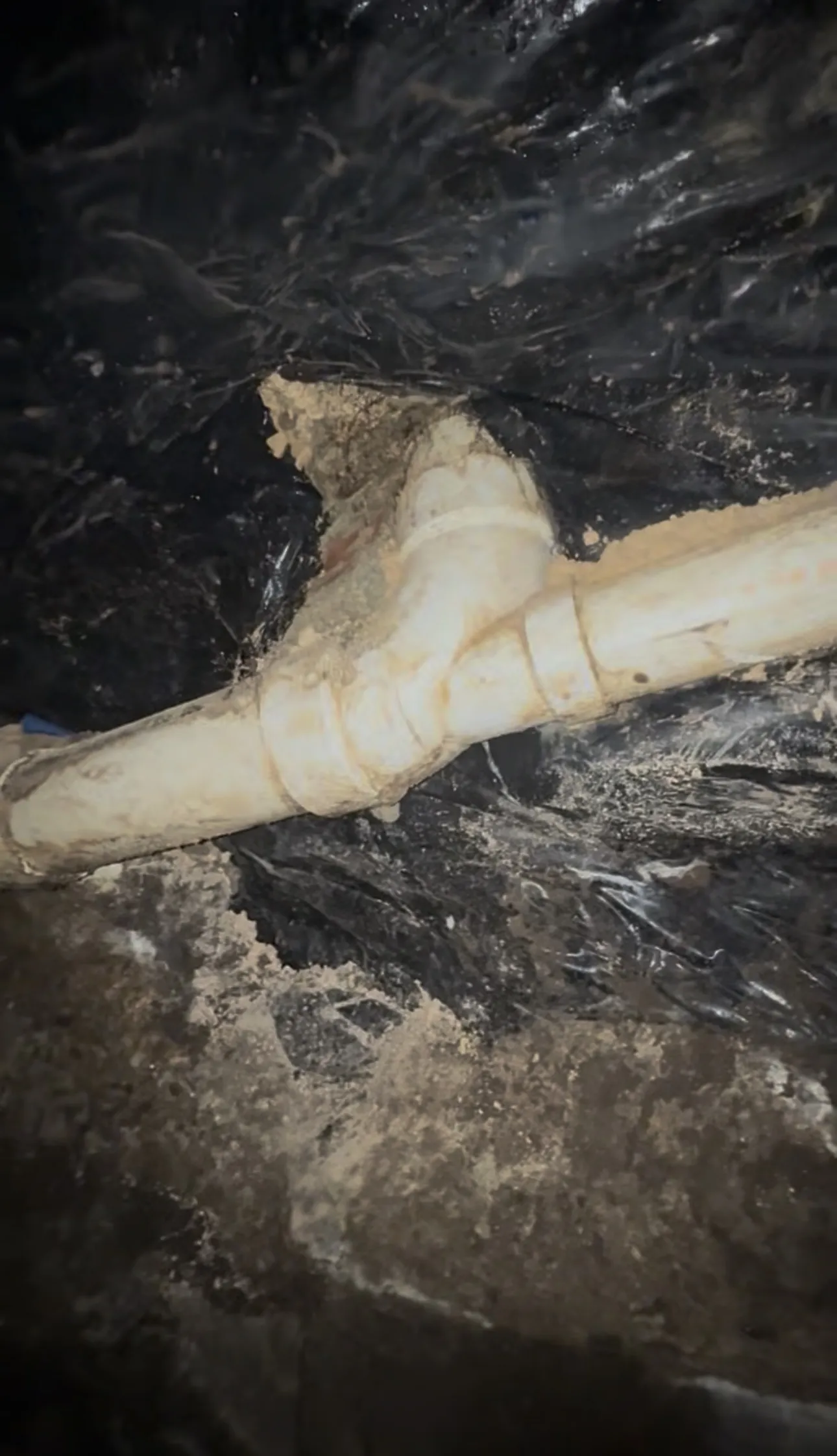 Gallery photos for Under Slab Drain Replacement via Tunnel Repair in New Braunfels: Image #2