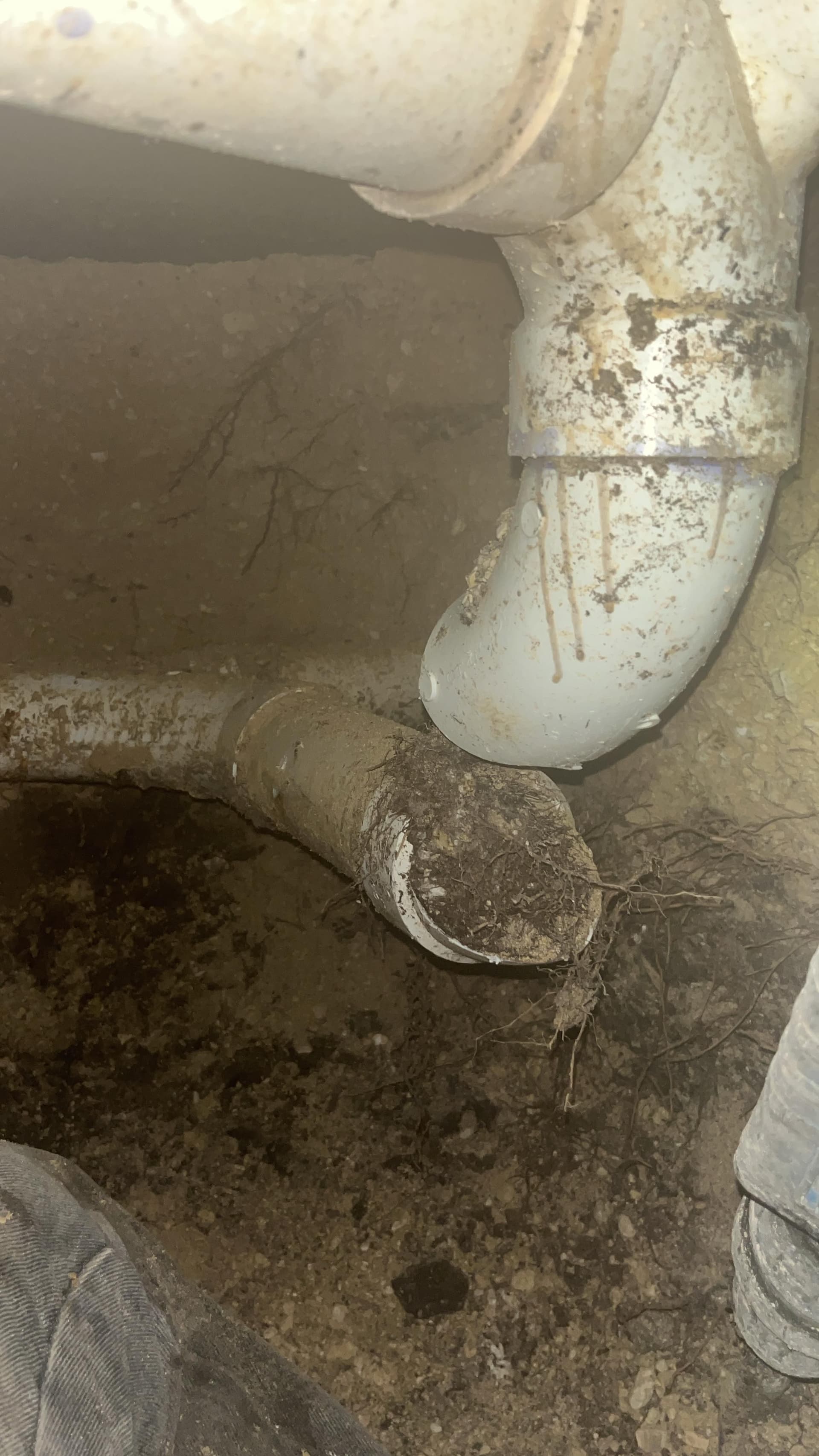 Blog post What Causes Drain Lines to Break Under a Foundation? image