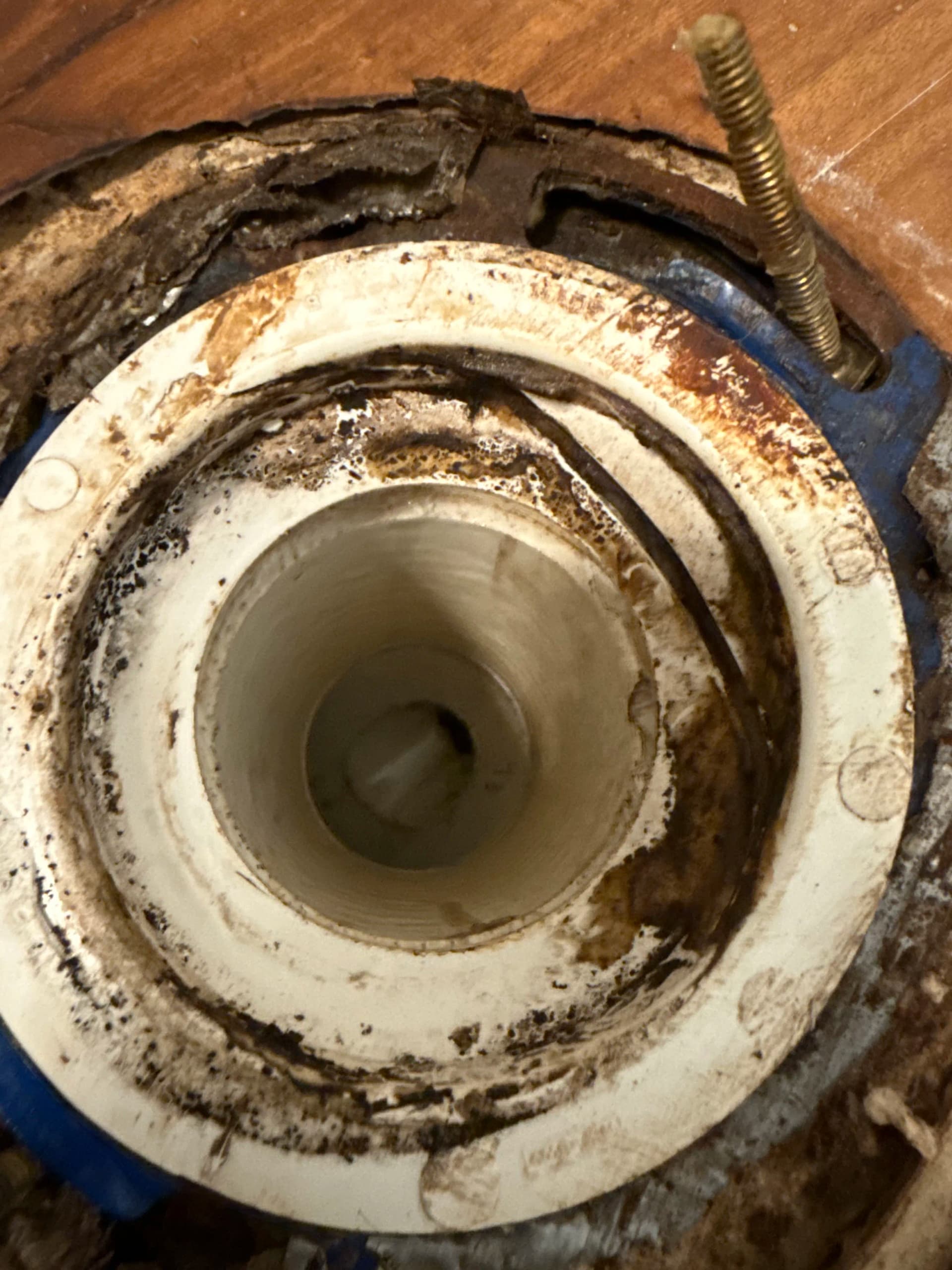 Toilet Flange Replacement Done Right in New Braunfels image